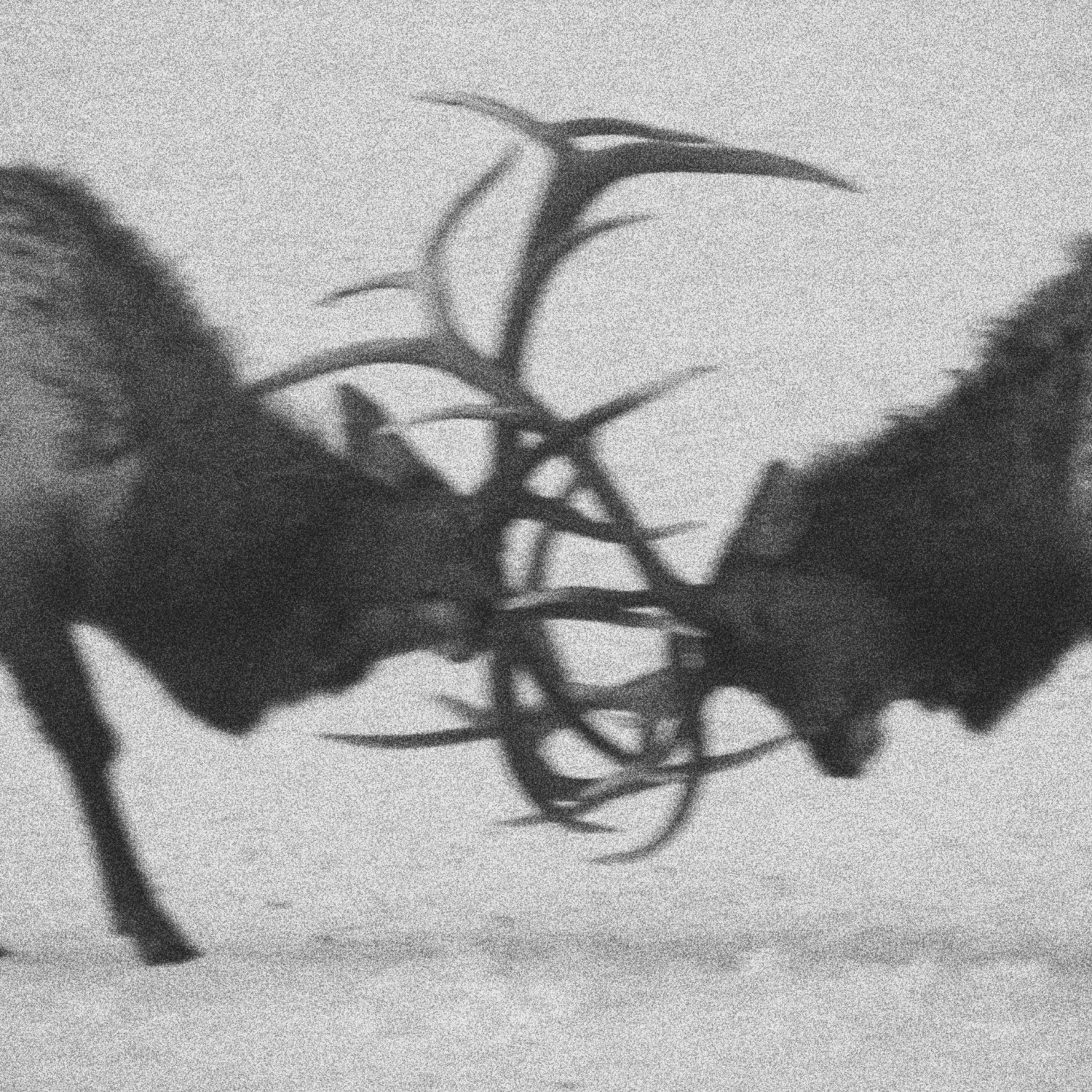 Kurs Podstawy Przetrwania w Częstochowie i Rybniku [EDYCJA 2026 🏙️]